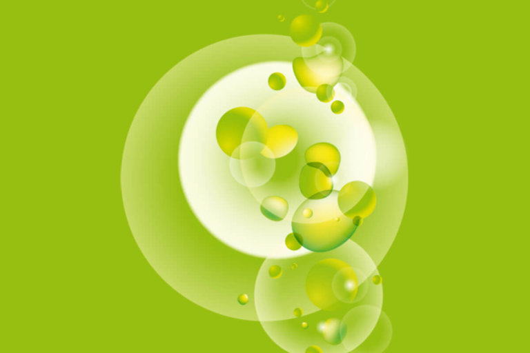 better-life-consulting-logo-partner